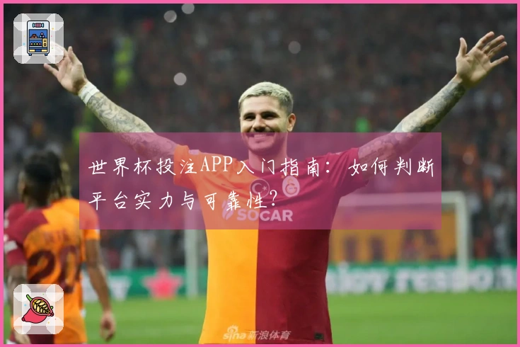 世界杯投注APP入门指南：如何判断平台实力与可靠性？