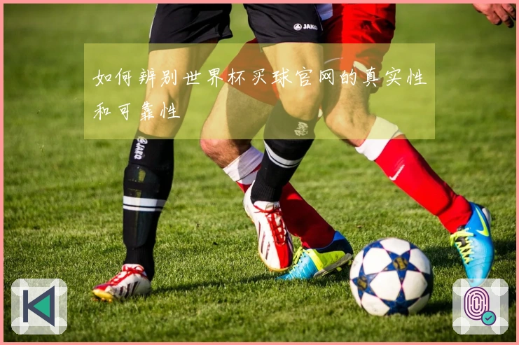 如何辨别世界杯买球官网的真实性和可靠性