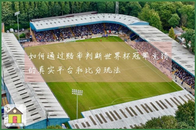 如何通过赔率判断世界杯冠军竞猜的真实平台和比分玩法