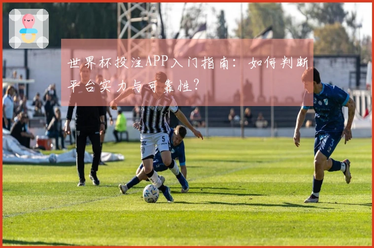 世界杯投注APP入门指南：如何判断平台实力与可靠性？