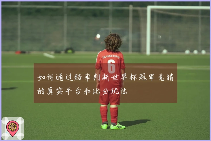 如何通过赔率判断世界杯冠军竞猜的真实平台和比分玩法